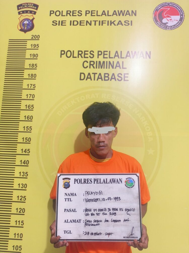 Satresnarkoba Polres Pelalawan Tangkap Pengedar dan 17 Paket BB Shabu-Shabu