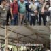 Polres Kampar Sikat Judi Sabung Ayam di Desa Kualu dan Desa Sialang Kubang