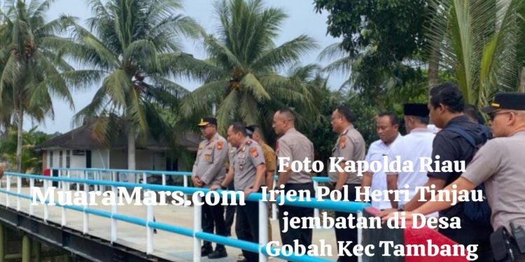 Jembatan Desa Gobah Siap Diresmikan Kapolri, Kapolda Riau Cek Lokasi