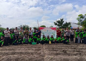 Dukung Ketahanan Pangan, Polsek Kampar dan Masyarakat Tanam Jagung Kuartal II