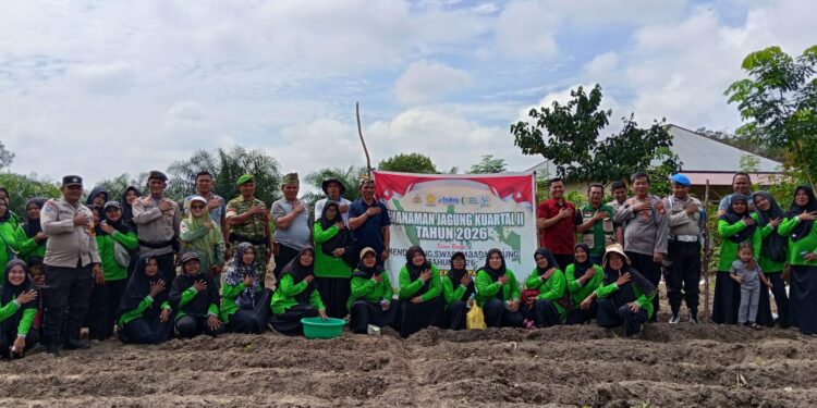 Dukung Ketahanan Pangan, Polsek Kampar dan Masyarakat Tanam Jagung Kuartal II