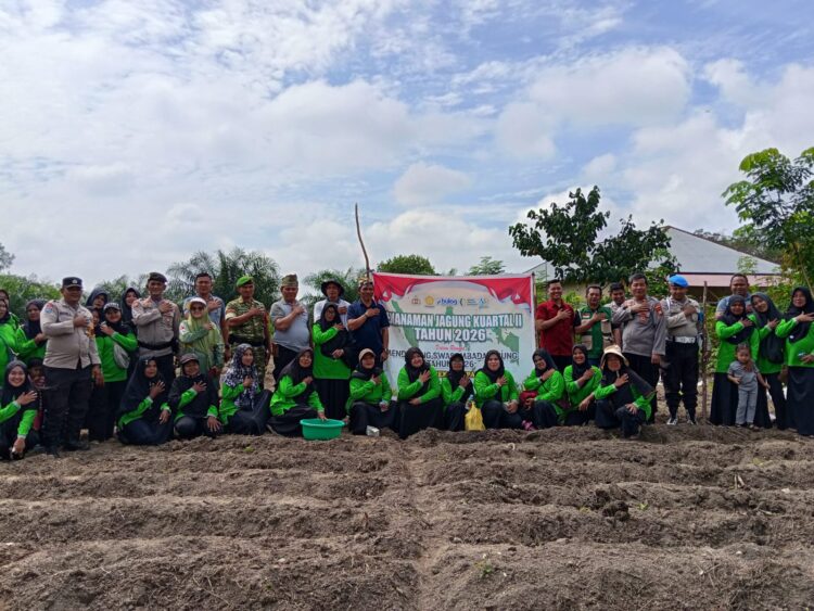 Dukung Ketahanan Pangan, Polsek Kampar dan Masyarakat Tanam Jagung Kuartal II