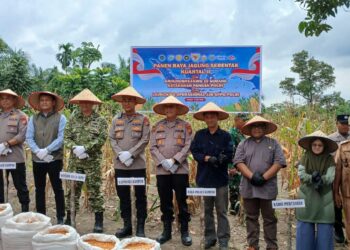 Kapolsek Kampar AKP Asdisyah Mursyid SH Antar Langsung Hasil Panen Petani ke Bulog