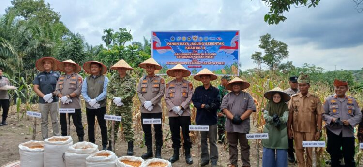 Kapolsek Kampar AKP Asdisyah Mursyid SH Antar Langsung Hasil Panen Petani ke Bulog