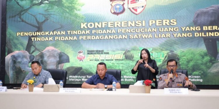 Polda Riau Tangkap TPPU Perdagangan Satwa, Dua Orang di Tangkap