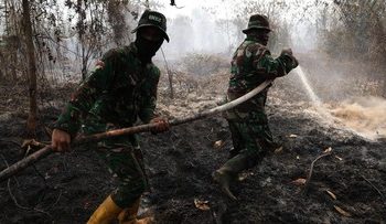 kebakaran hutan